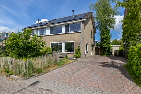 undefined main image