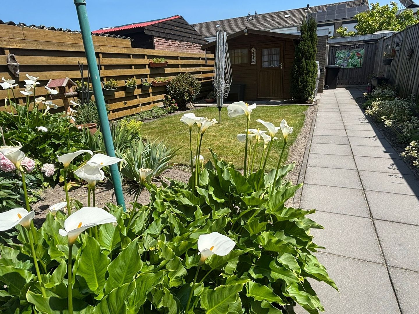 Foto 20 van Vermerestraat 11