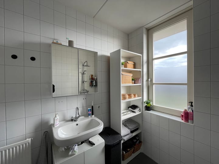 Foto 11 van De Wulp 13