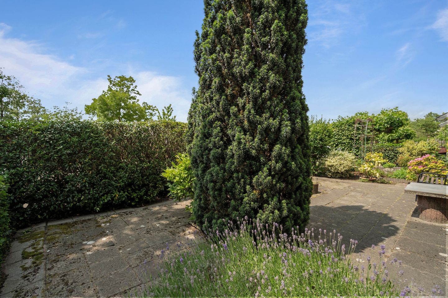 Foto 40 van Pedro Luis Briónstraat 18