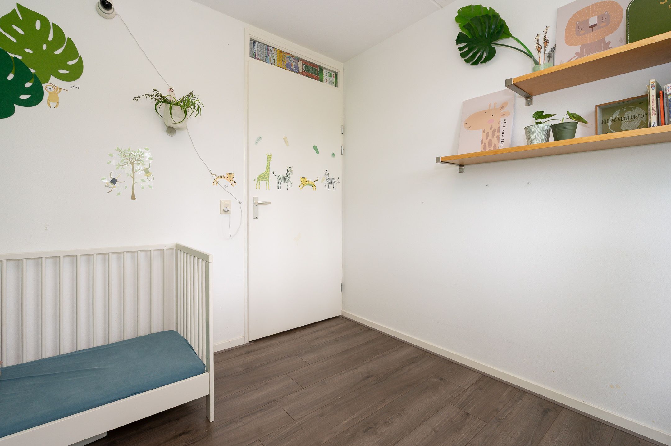 Foto 27 van Primulastraat 20