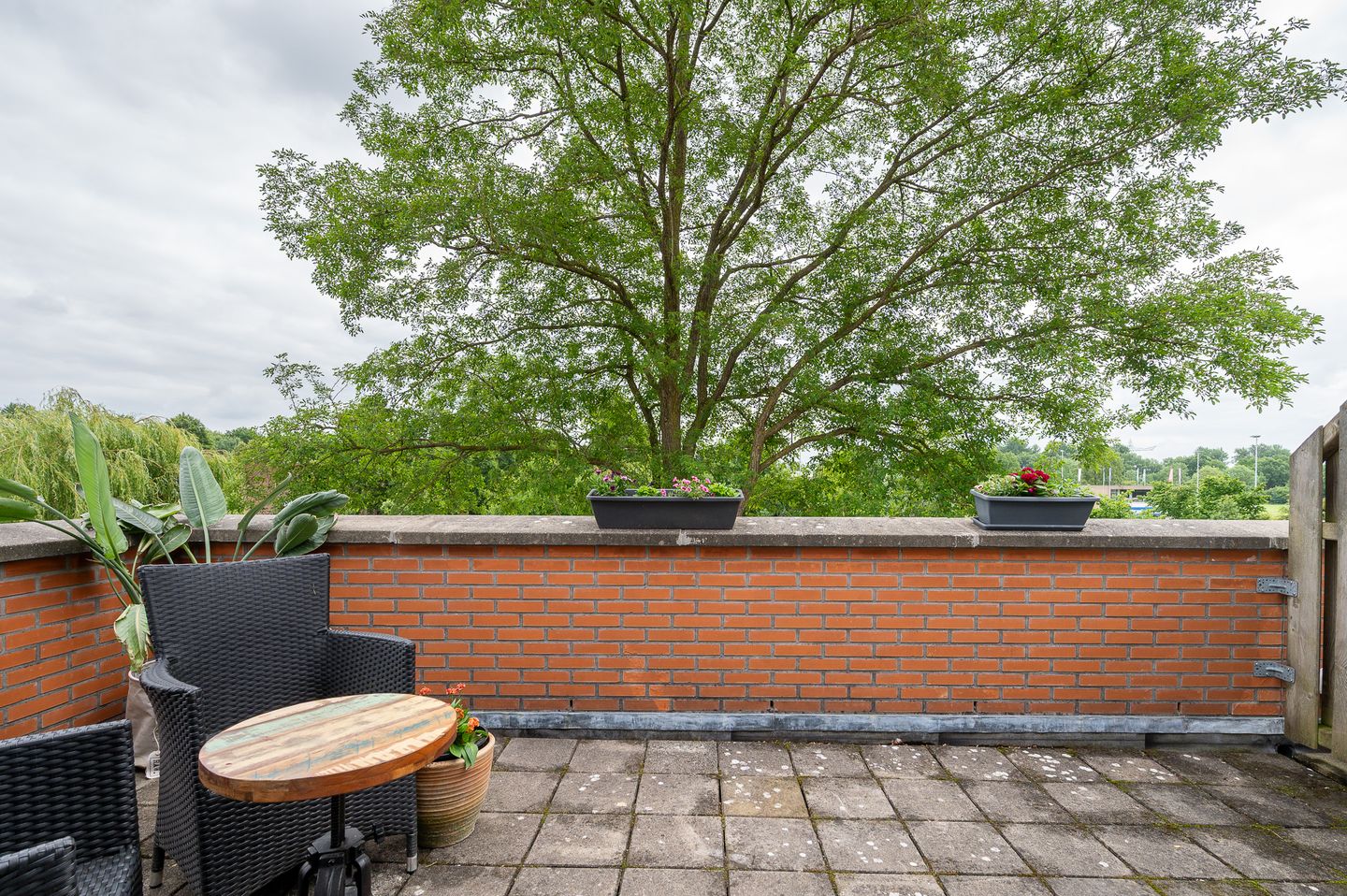 Foto 34 van Primulastraat 20