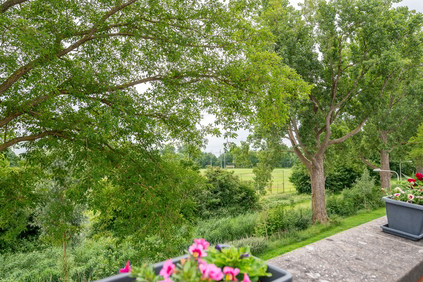 Foto 35 van Primulastraat 20