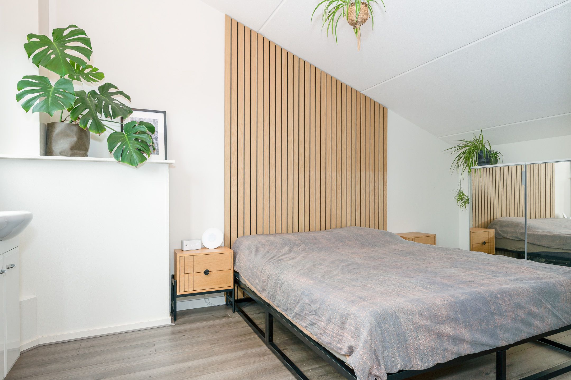 Foto 30 van Primulastraat 20