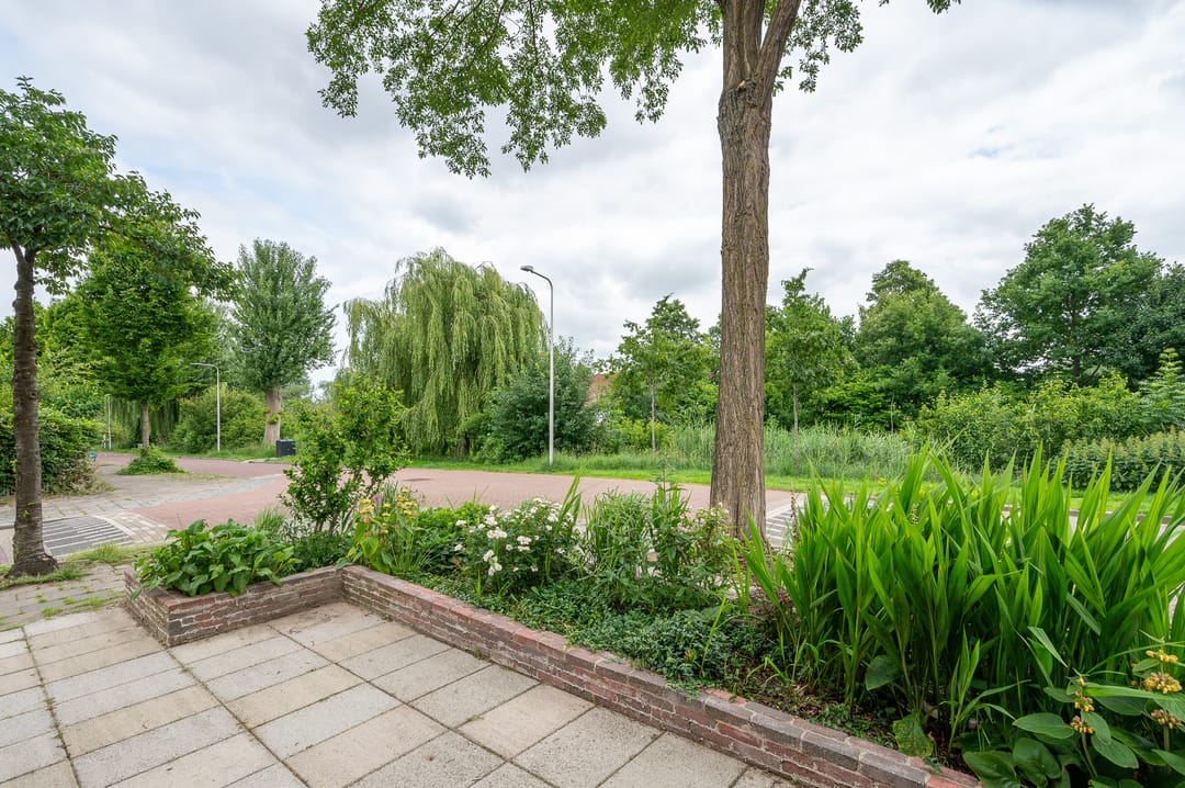 Foto 41 van Primulastraat 20