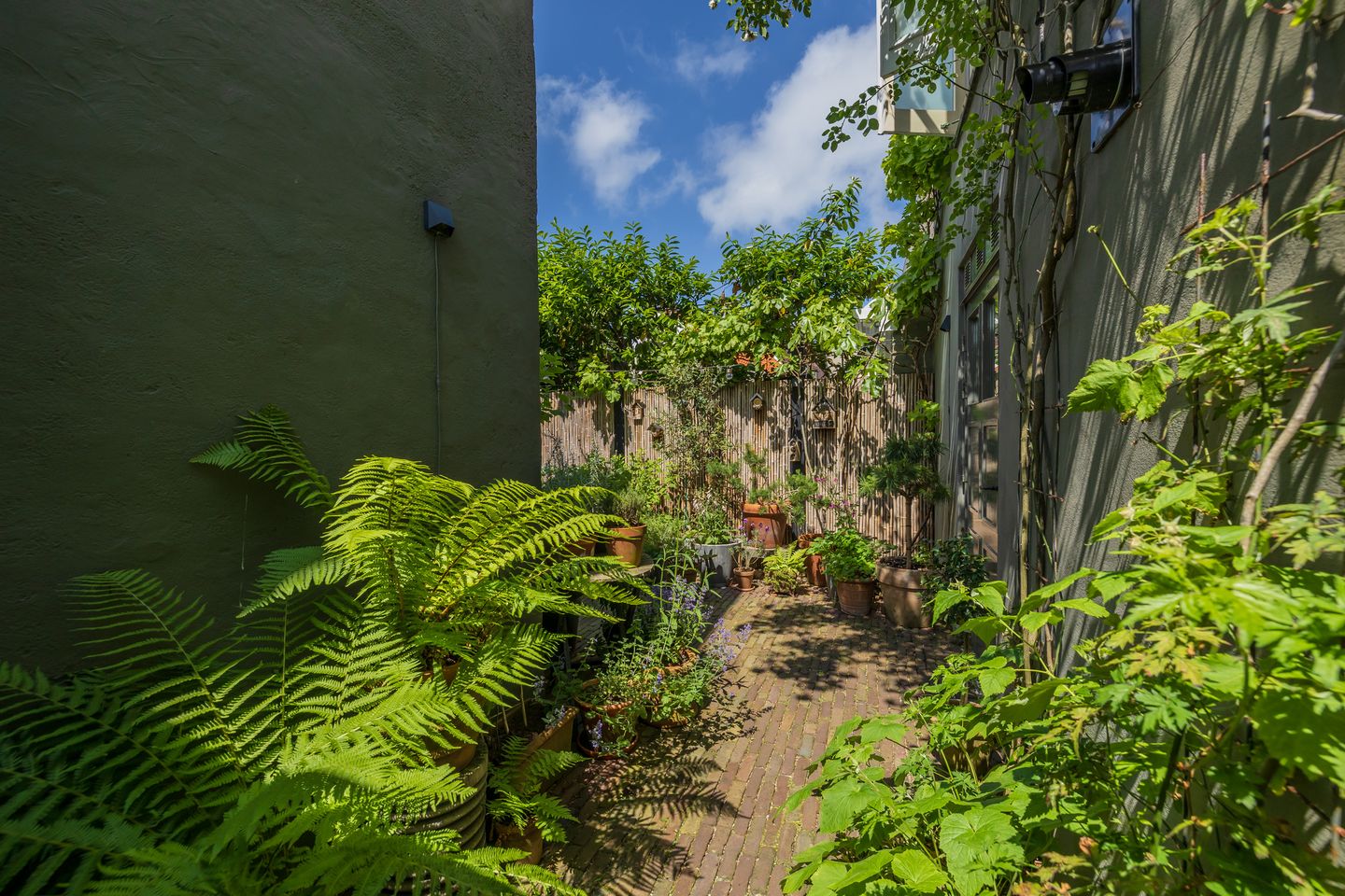 Foto 19 van Bronckhorststraat 17