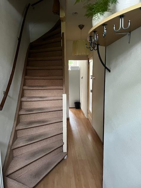 Foto 4 van Hooft Graaflandstraat 119