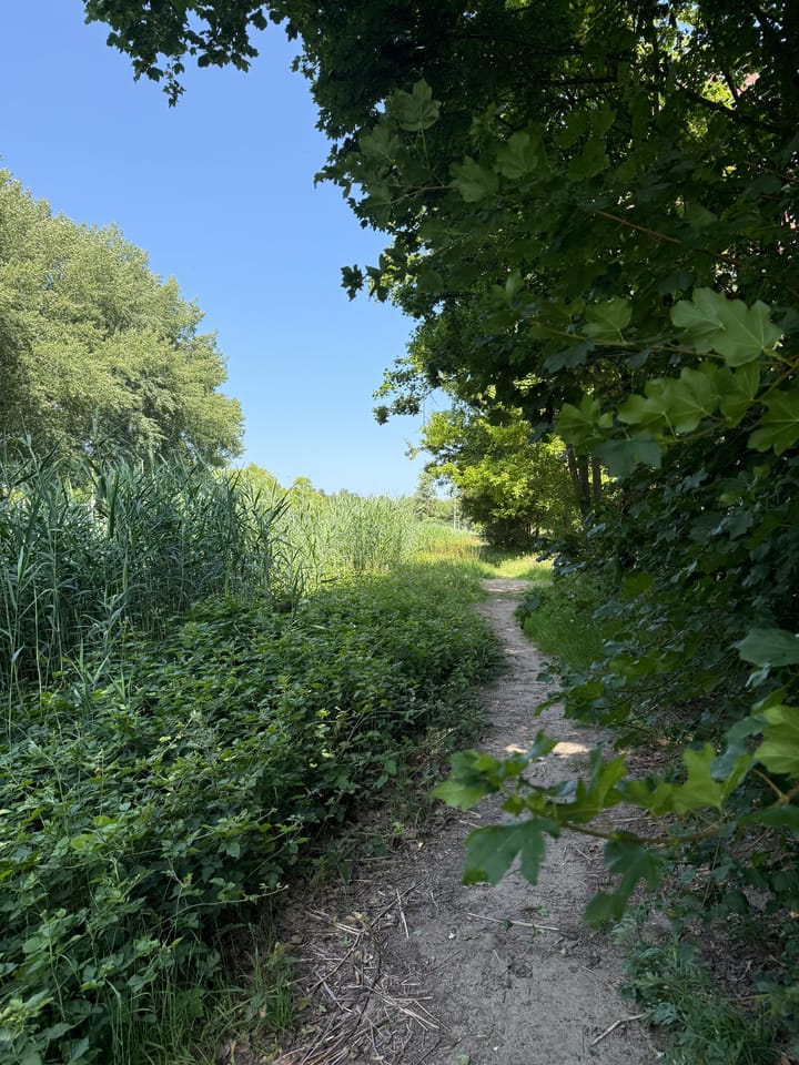 Foto 51 van Gershwinstraat 9