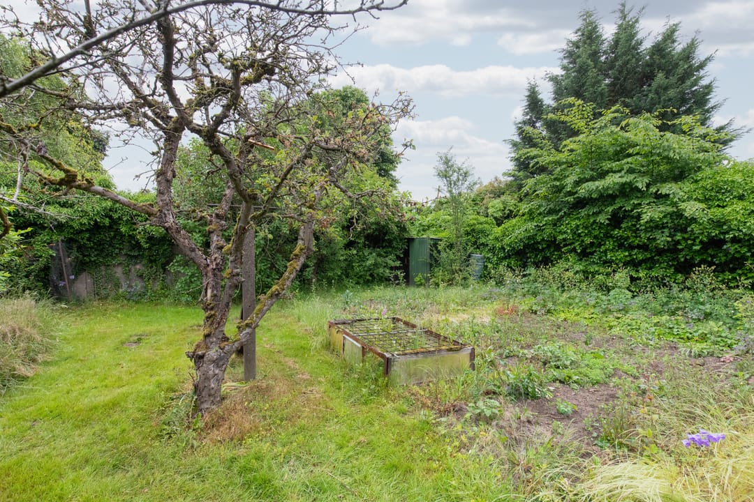 Foto 2 van Apollostraat 5