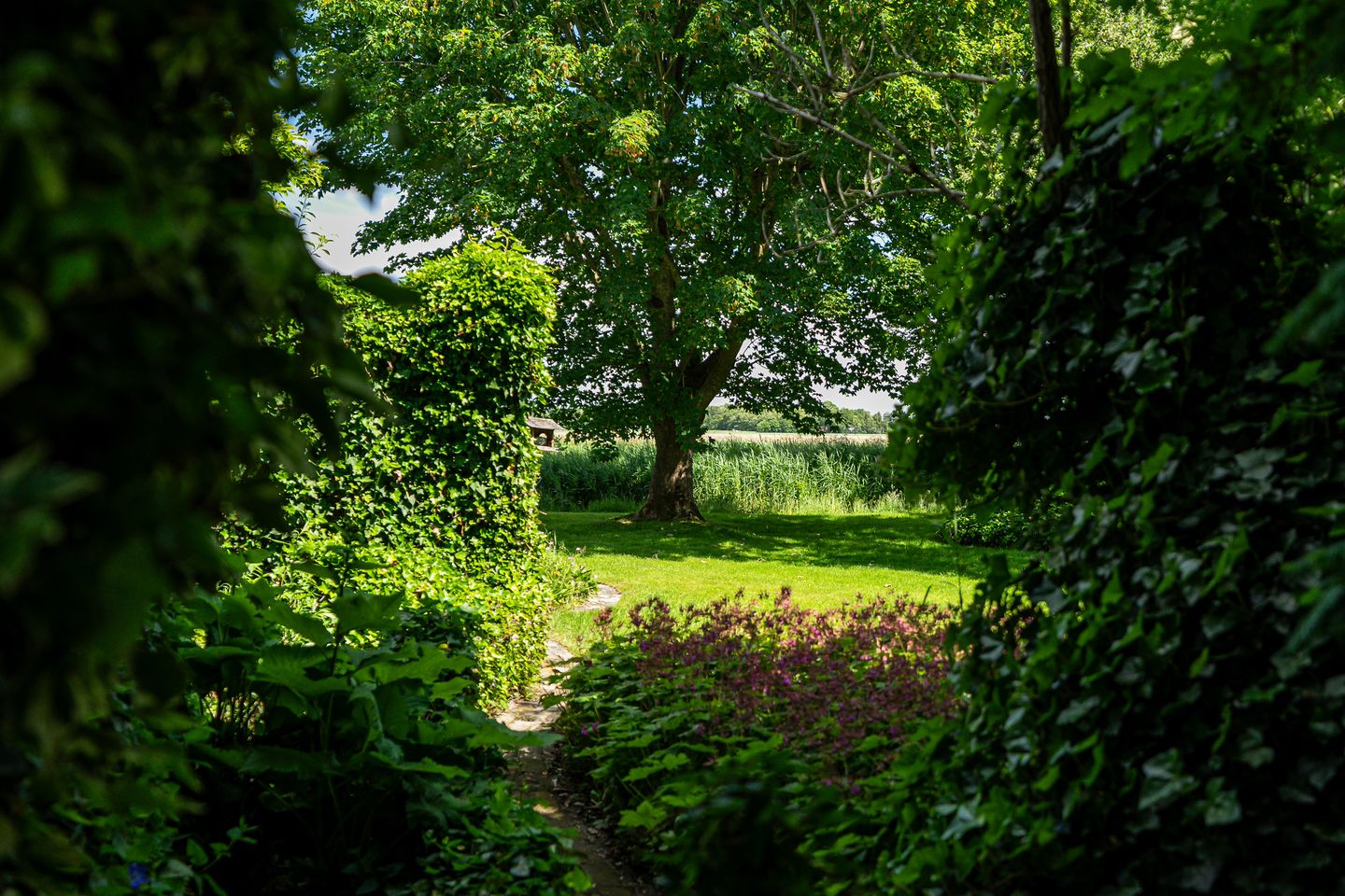 Foto 50 van Kanaalsweg 1