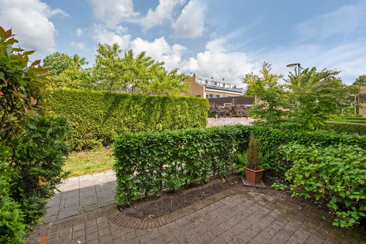 Foto 2 van Distelveld 3