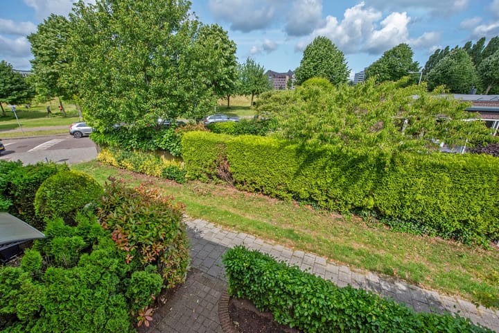 Foto 31 van Distelveld 3