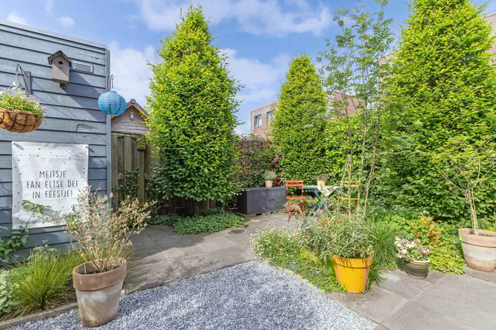 Foto 16 van Carneool 53