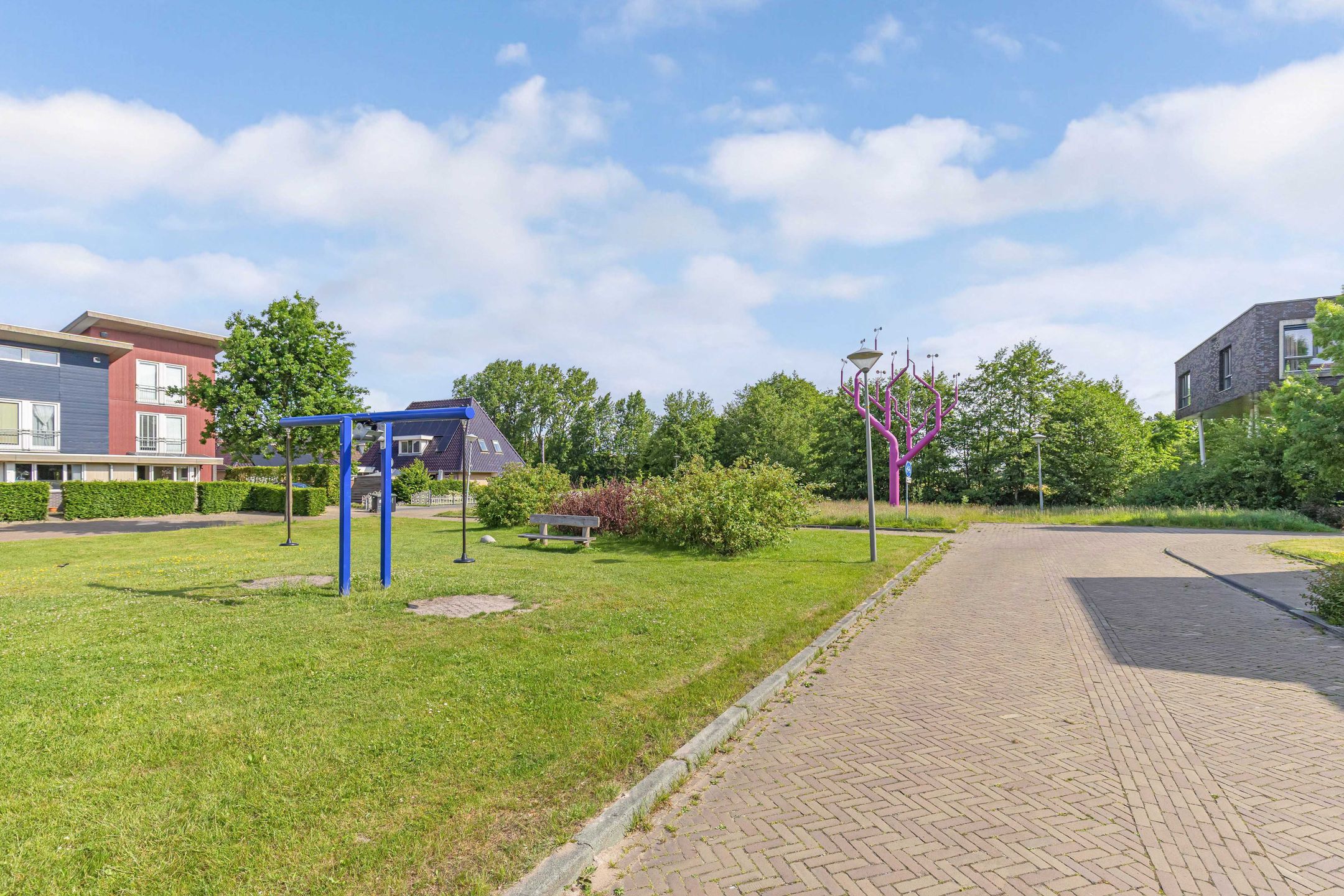 Foto 30 van Carneool 53