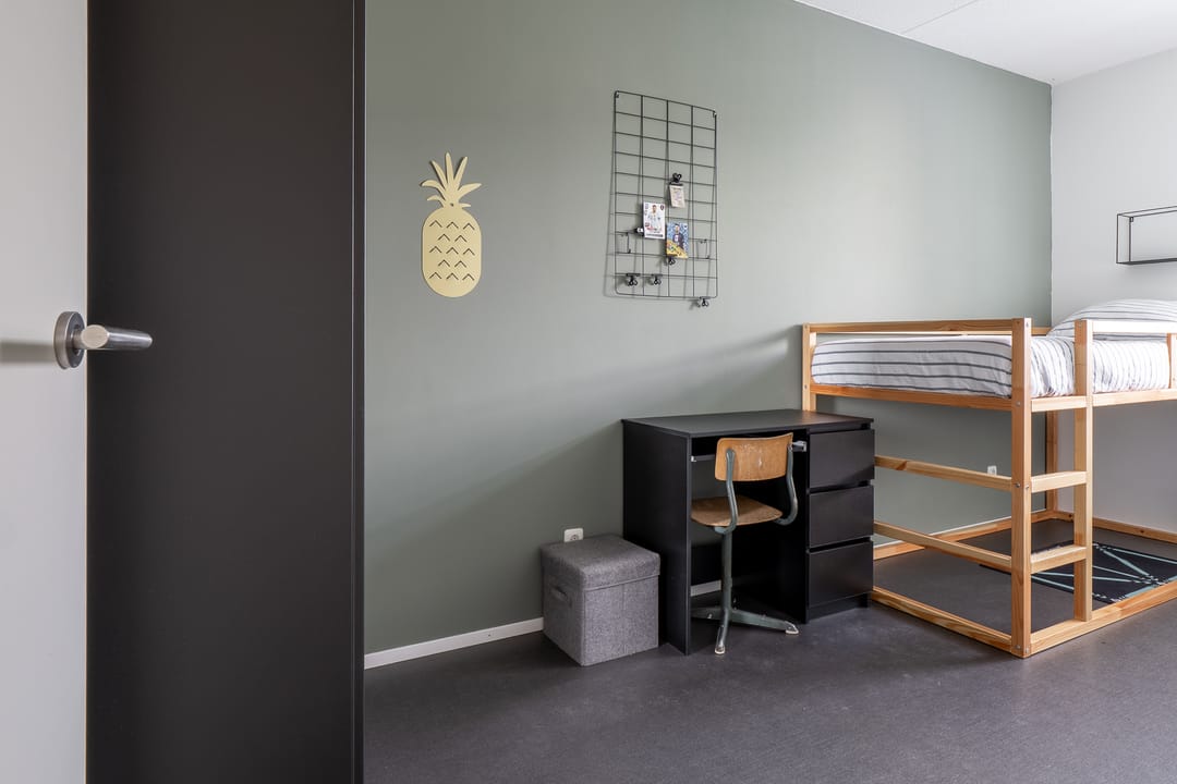 Foto 22 van Hoogland 21