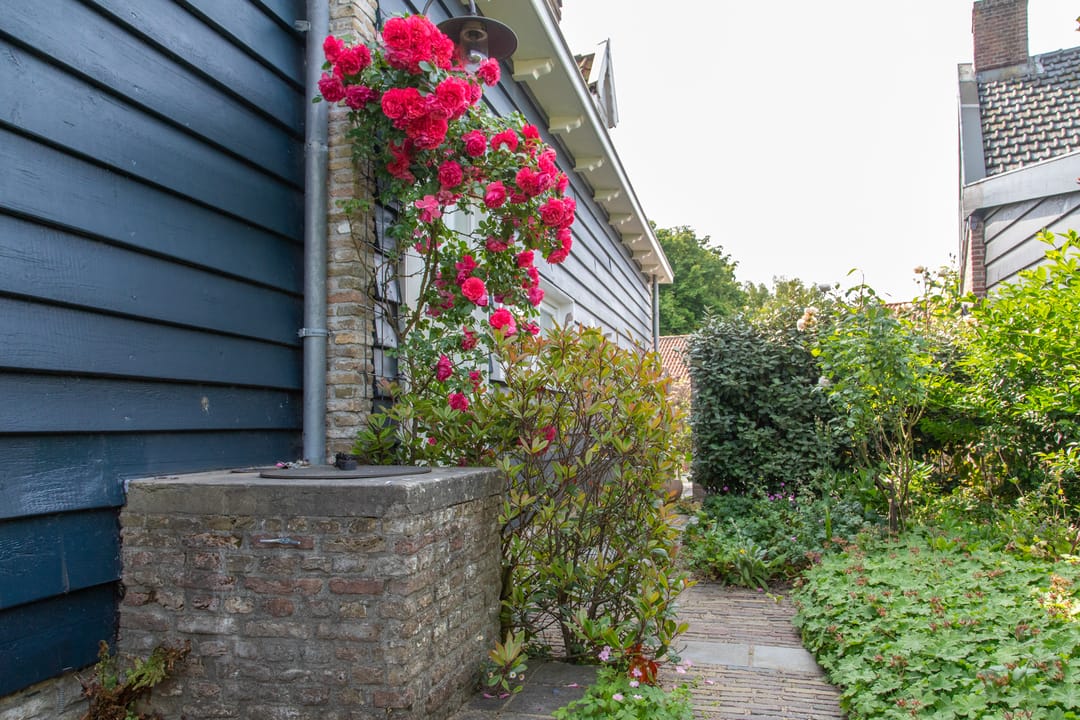 Foto 53 van Dishoekseweg 4