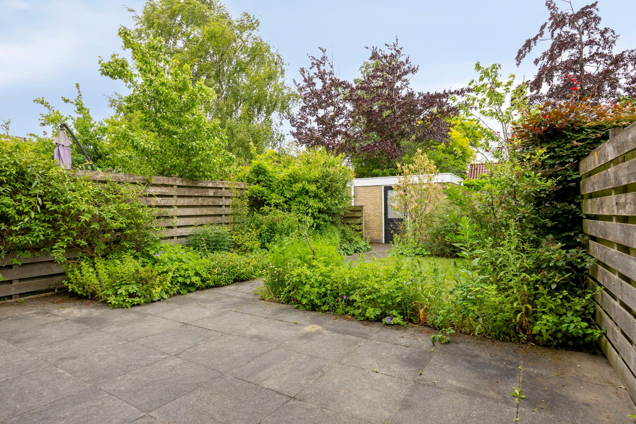 Foto 21 van Donkerstraat 8