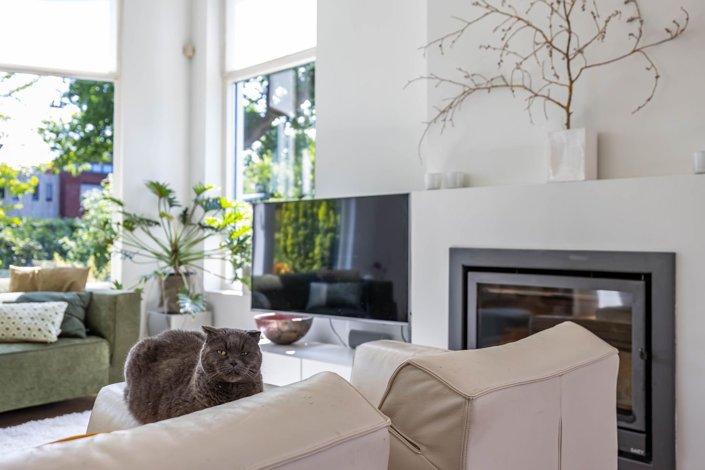 Photo 19 of Rijksstraatweg 271