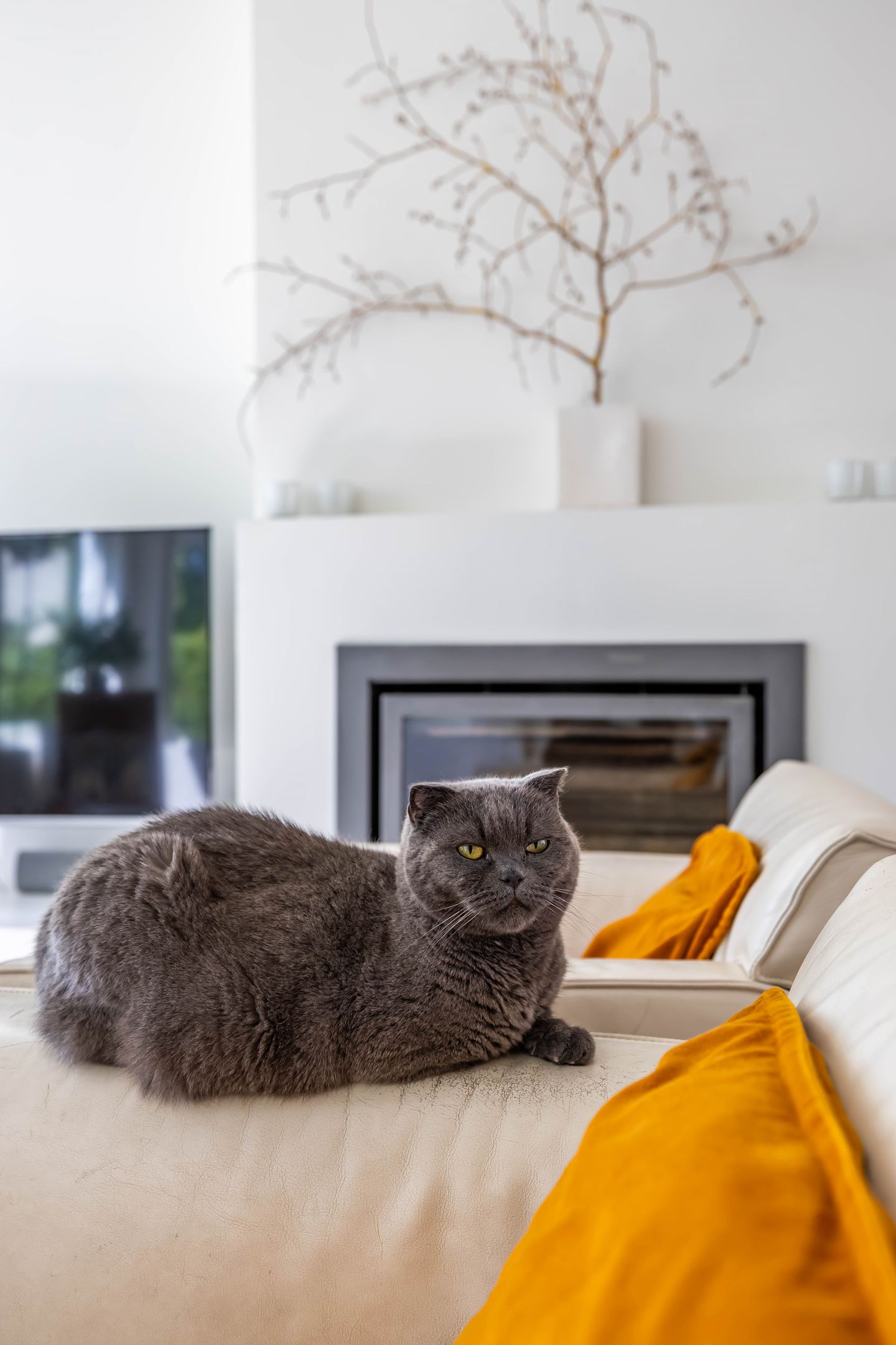 Photo 20 of Rijksstraatweg 271