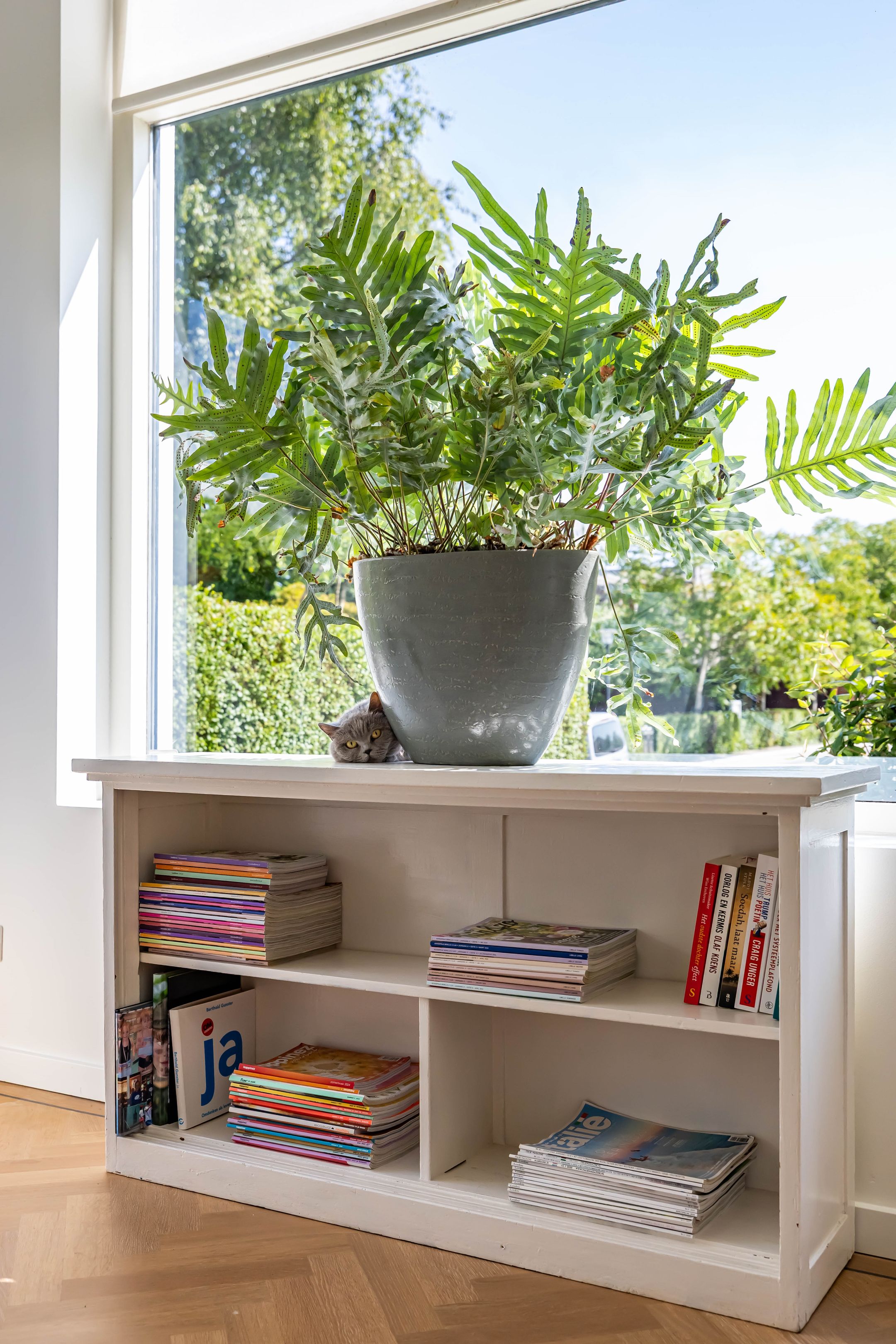 Photo 24 of Rijksstraatweg 271