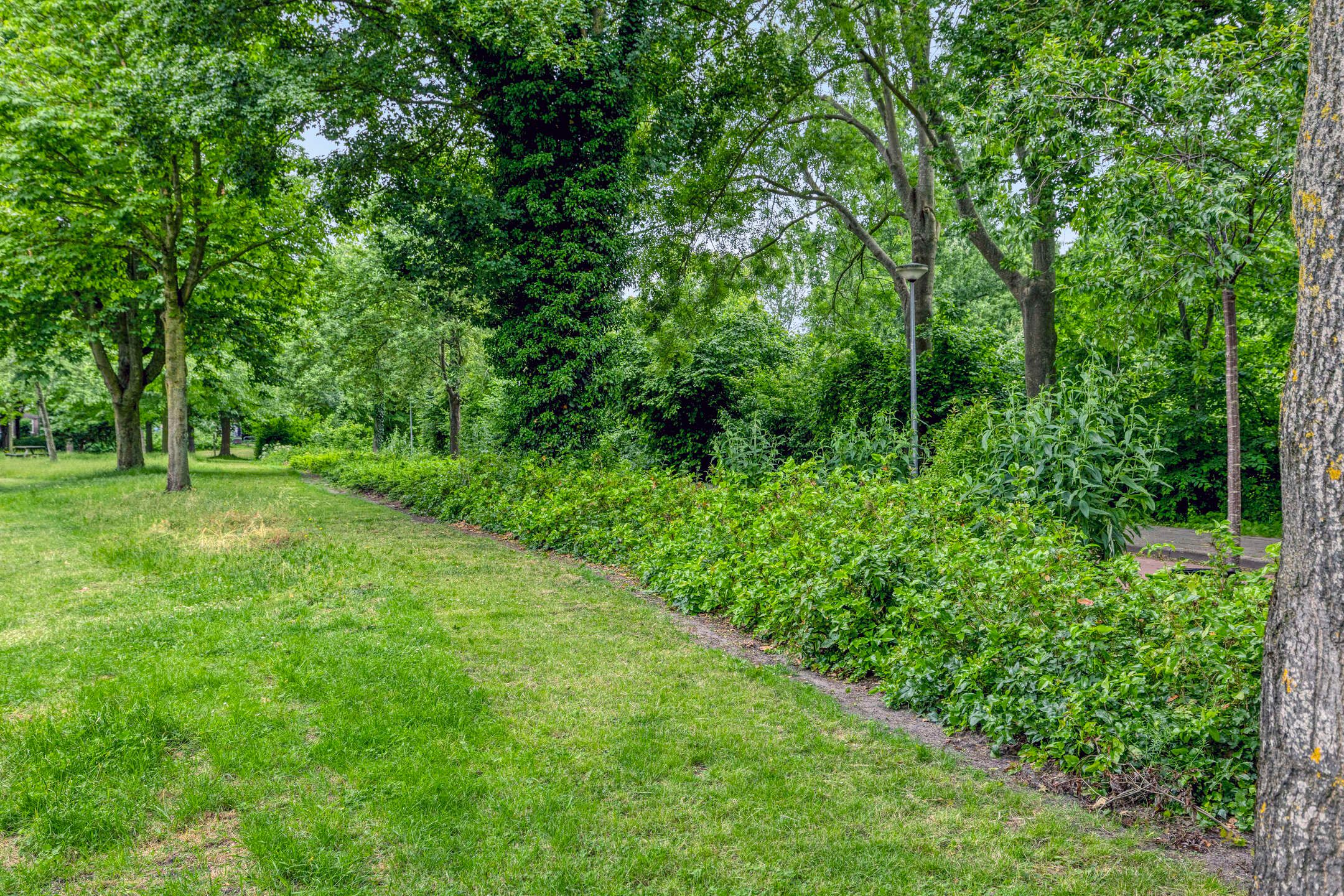 Photo 27 of Stadhouderslaan 5-A