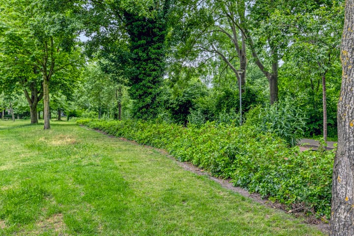 Foto 27 van Stadhouderslaan 5-A