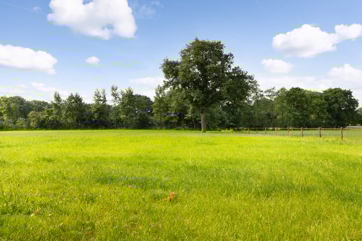 Photo 8 of Telgterweg 279