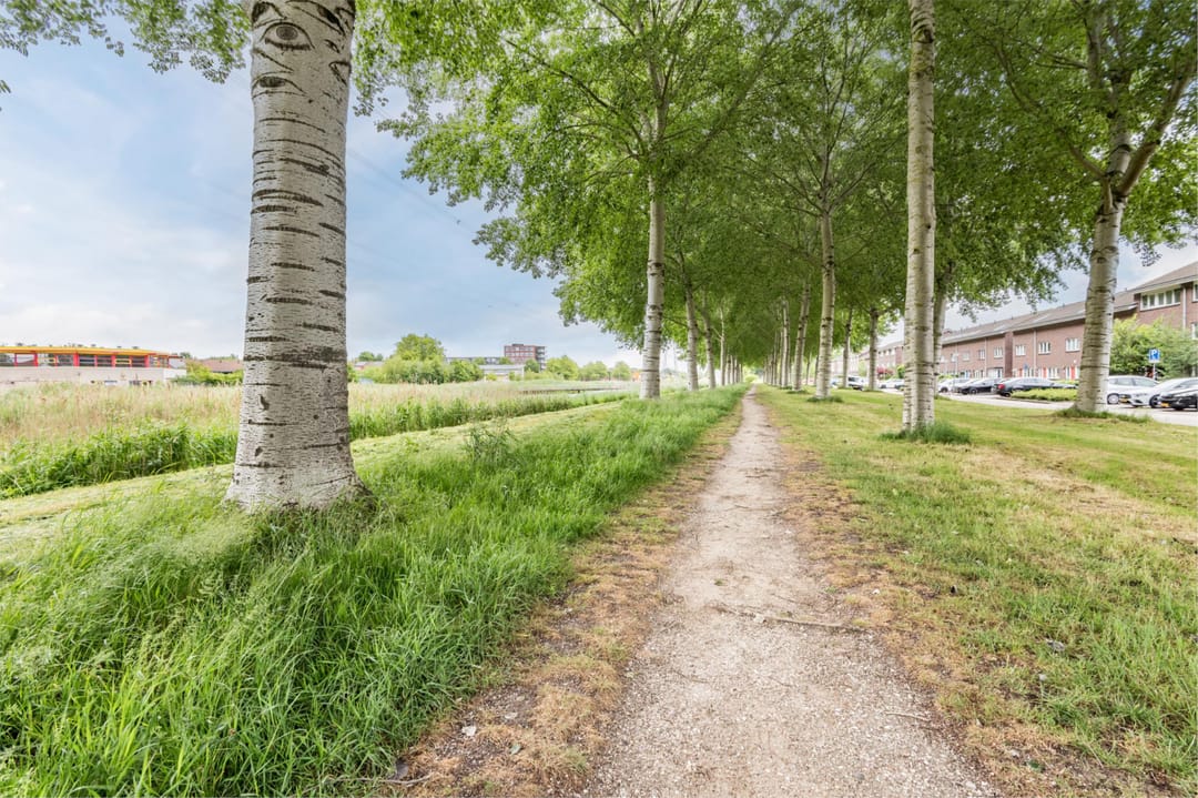 Foto 38 van Paul Kleestraat 13