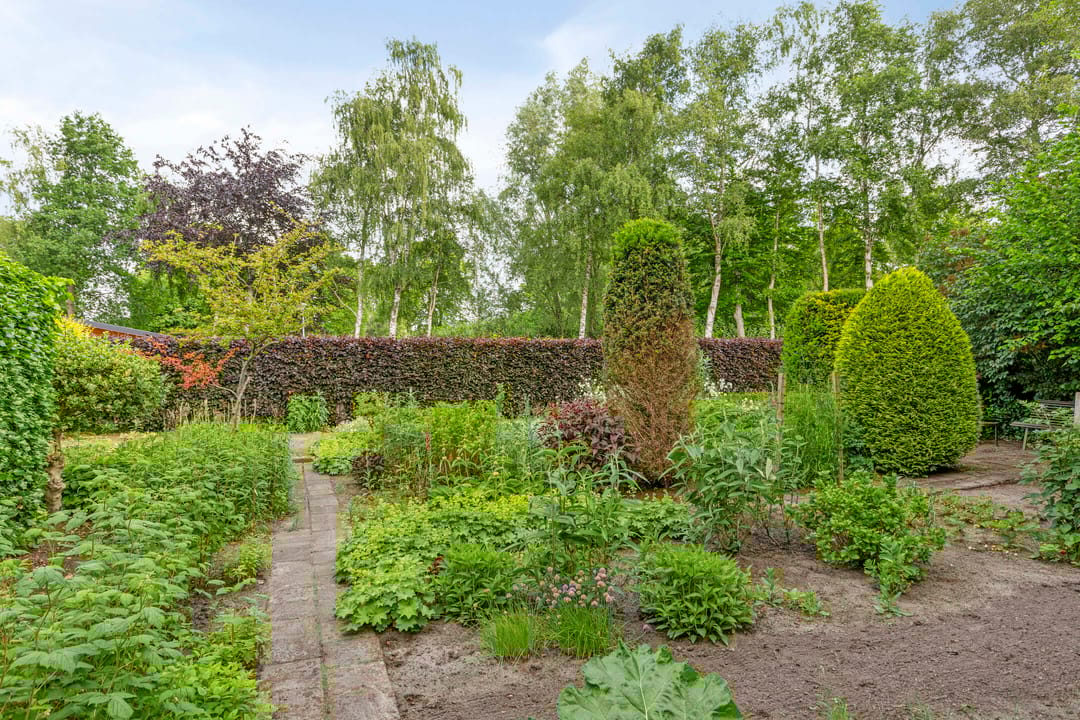 Foto 41 van Kalkwijk 5