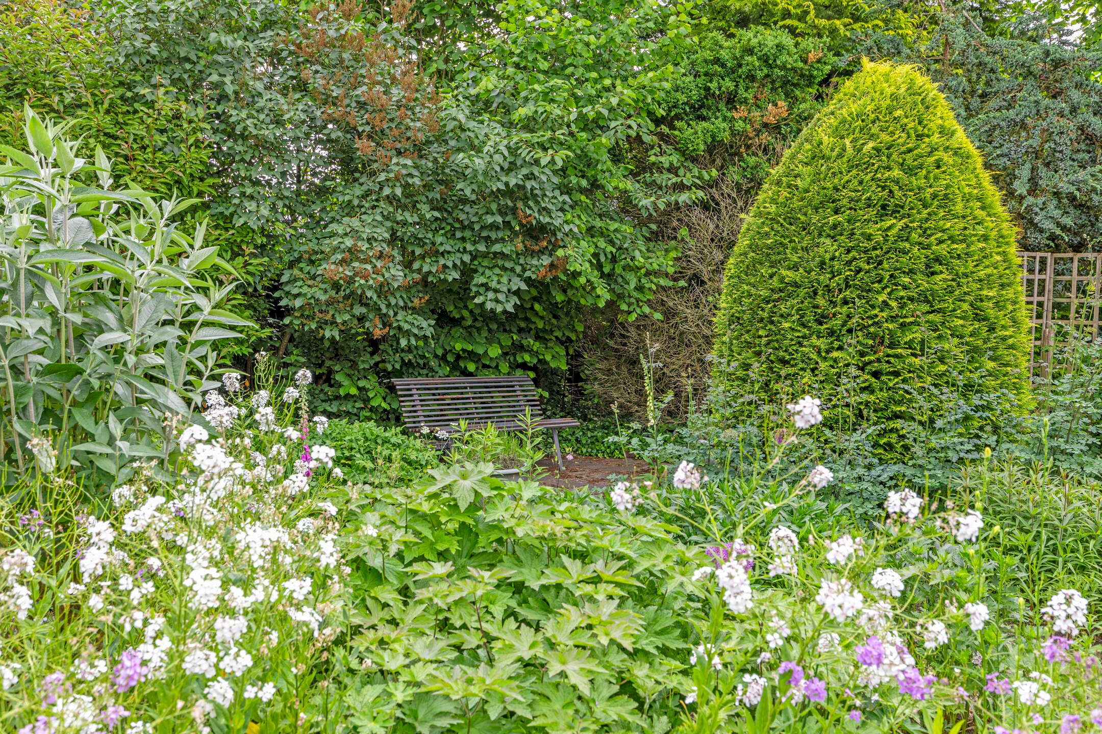 Foto 42 van Kalkwijk 5