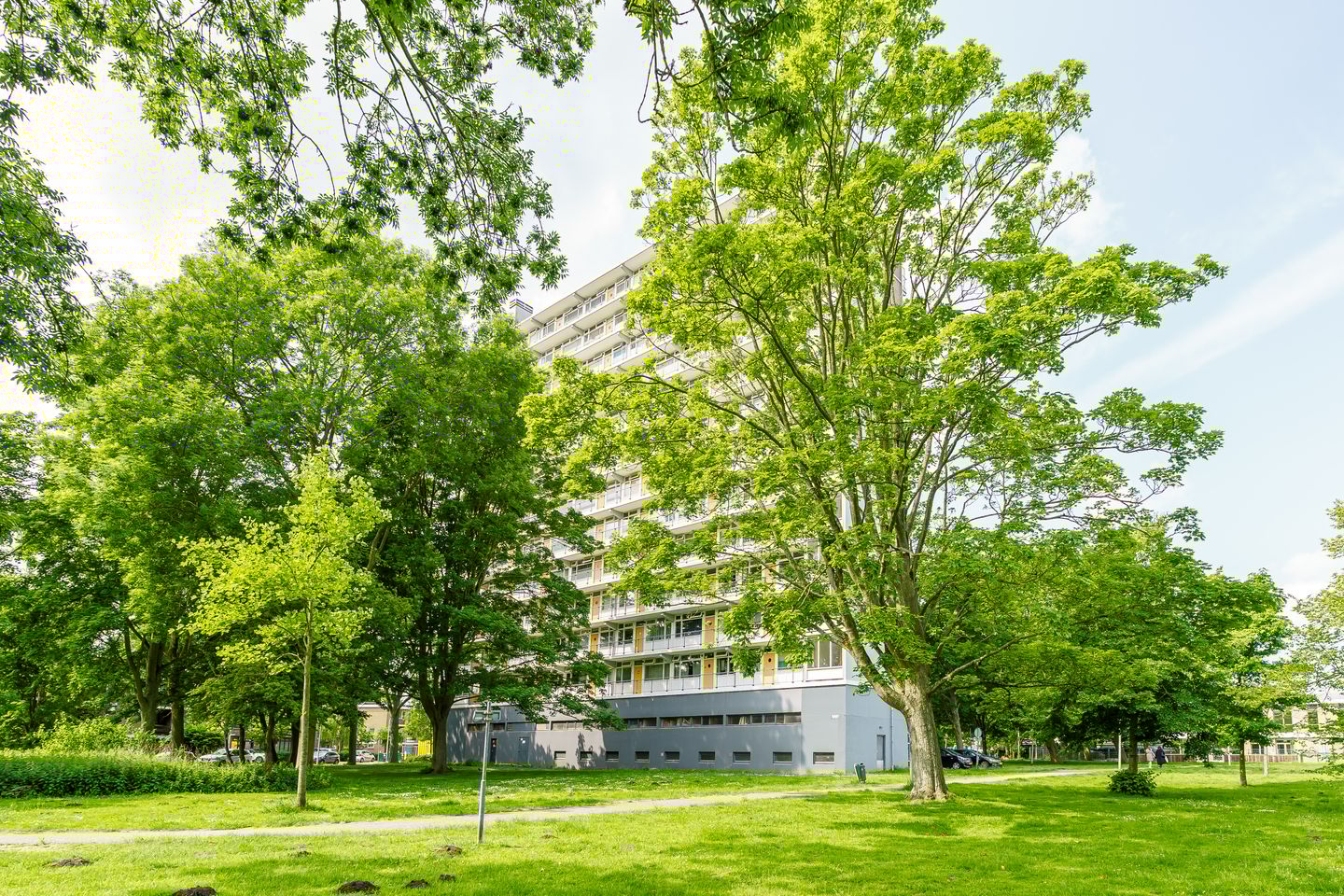 Foto 1 van Elviraland 314