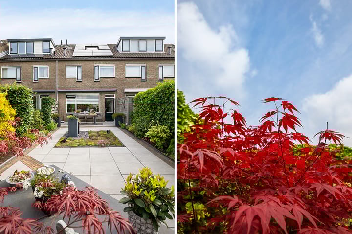 Foto 43 van Bleker 43