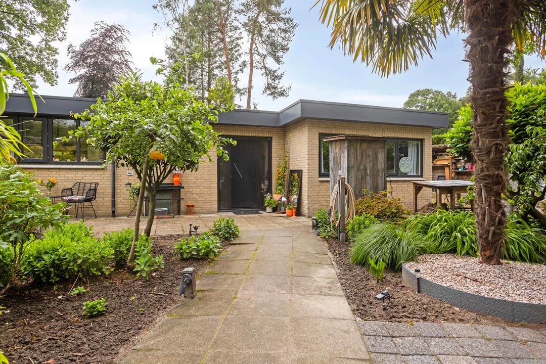 Foto 1 van Schaluinen 11-B316