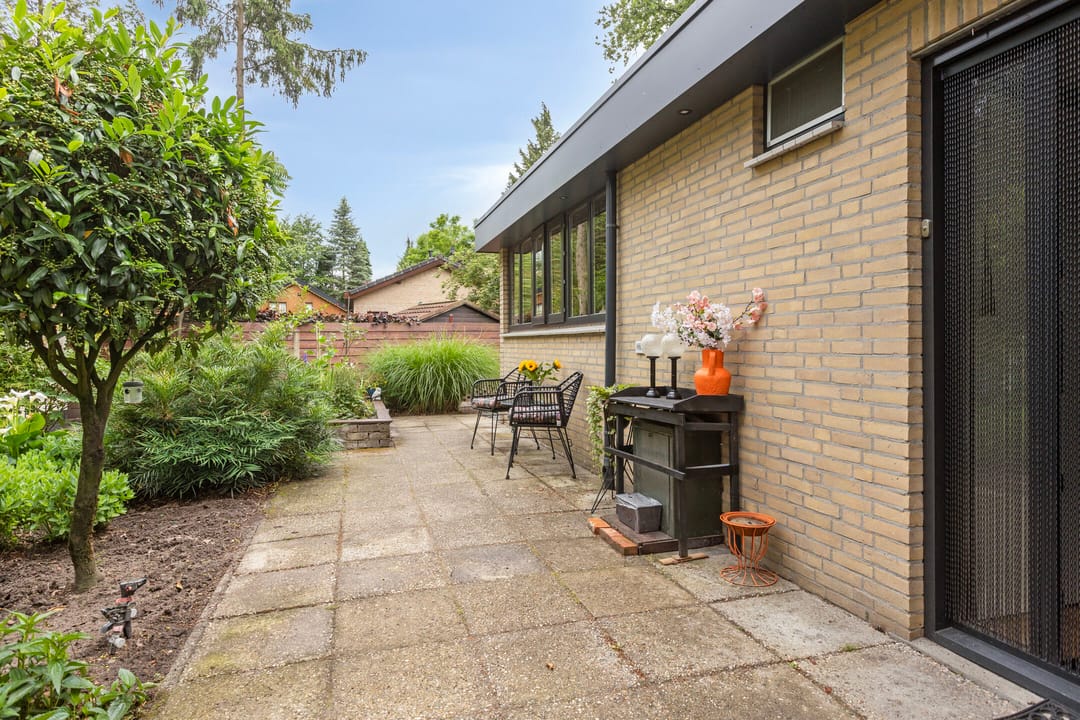 Foto 2 van Schaluinen 11-B316