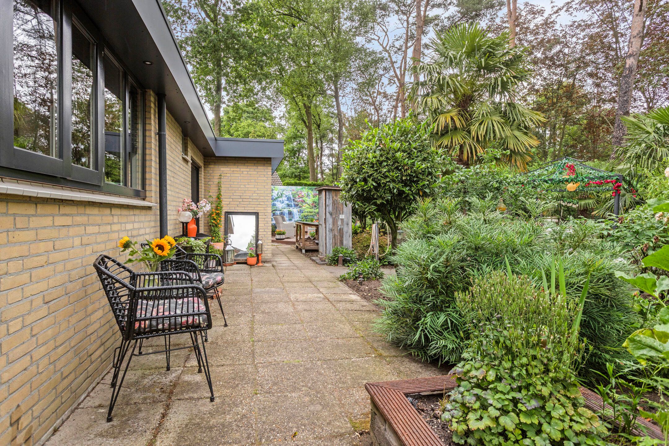 Foto 21 van Schaluinen 11-B316