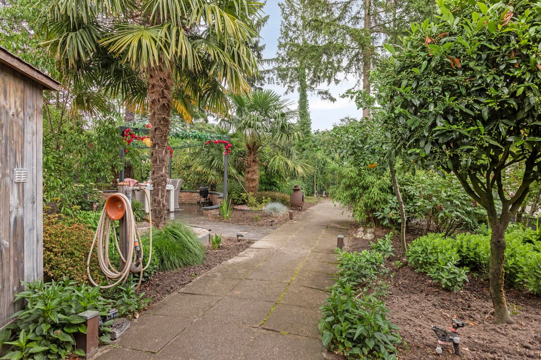 Foto 22 van Schaluinen 11-B316