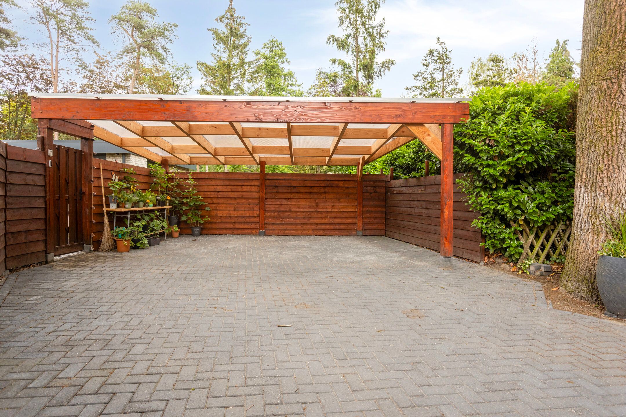 Foto 30 van Schaluinen 11-B316