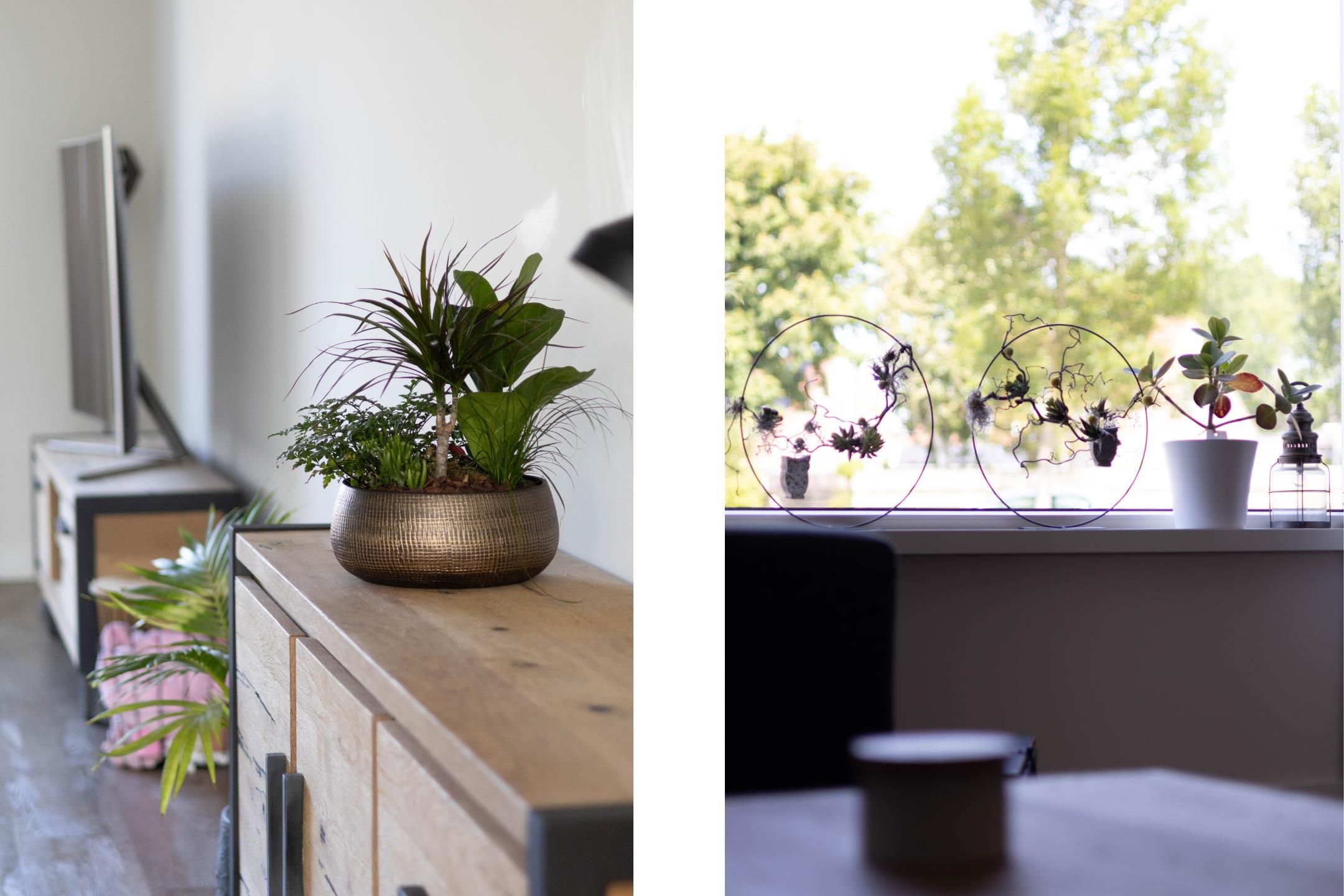 Foto 12 van De Kampen 18