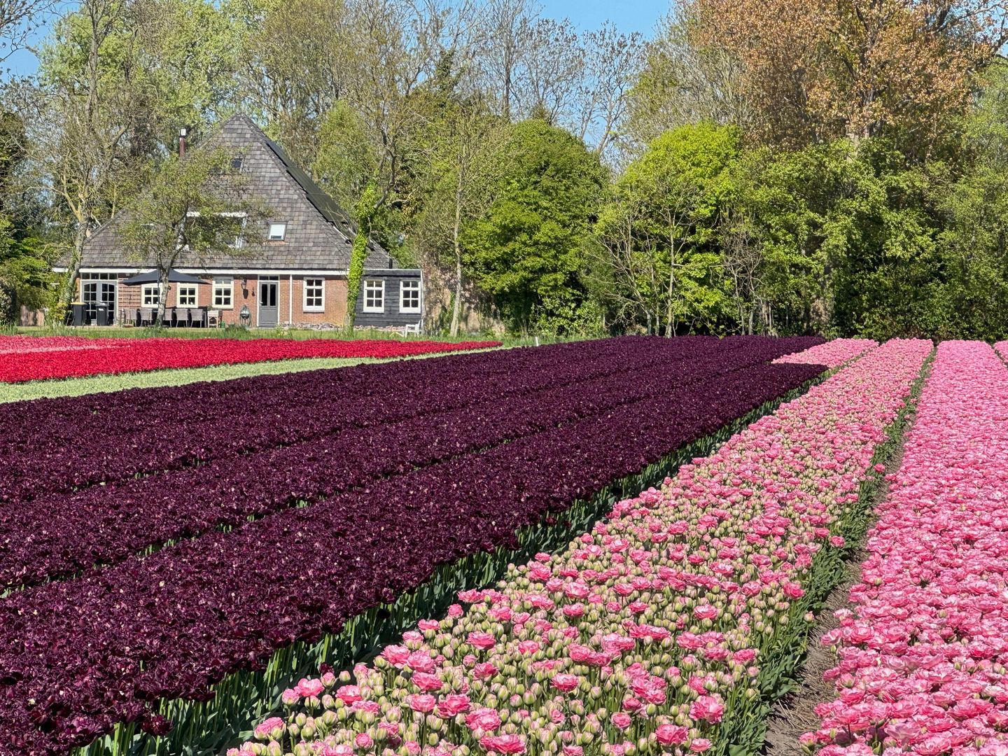 Foto 44 van Stoomweg 71