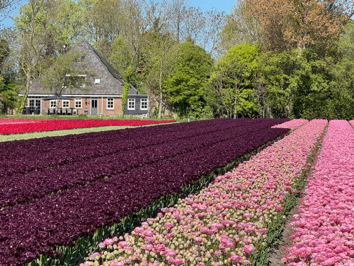 Photo 44 of Stoomweg 71