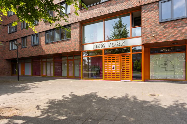 Foto 5 van Laan van Wateringse Veld 867