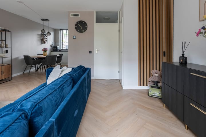 Foto 6 van Kuifmees 87