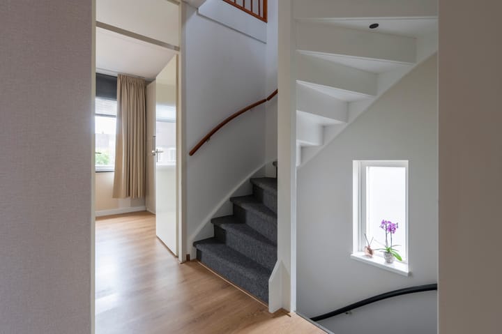 Foto 14 van Kuifmees 87