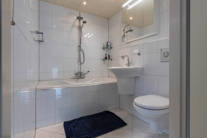 Foto 19 van Kuifmees 87