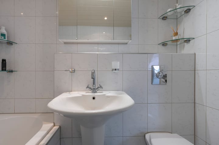 Foto 20 van Kuifmees 87