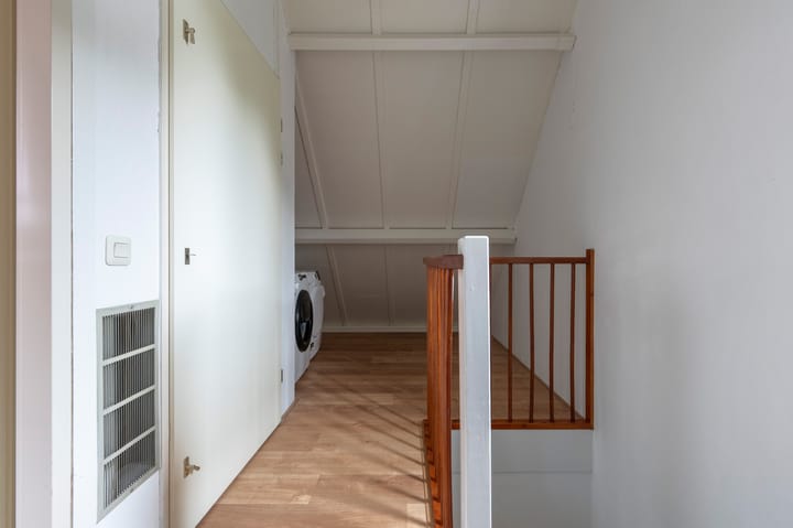 Foto 21 van Kuifmees 87