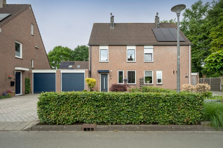 Foto 29 van Kuifmees 87