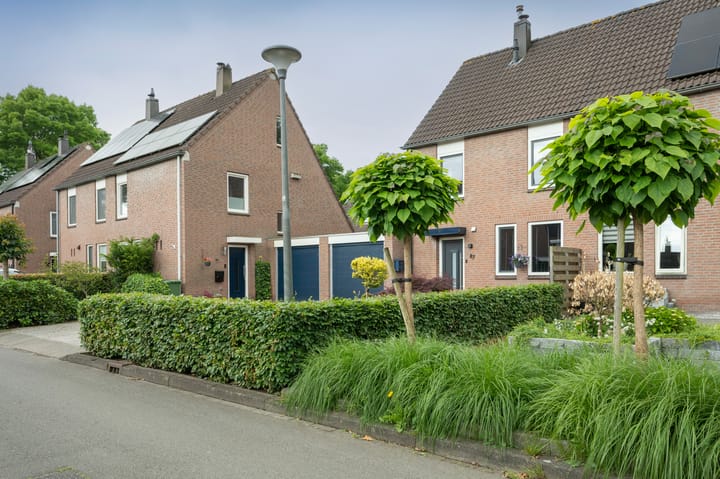 Foto 30 van Kuifmees 87