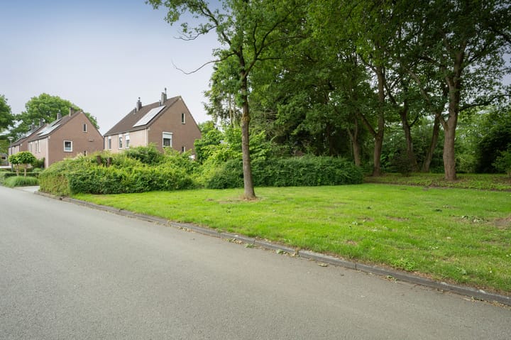 Foto 31 van Kuifmees 87