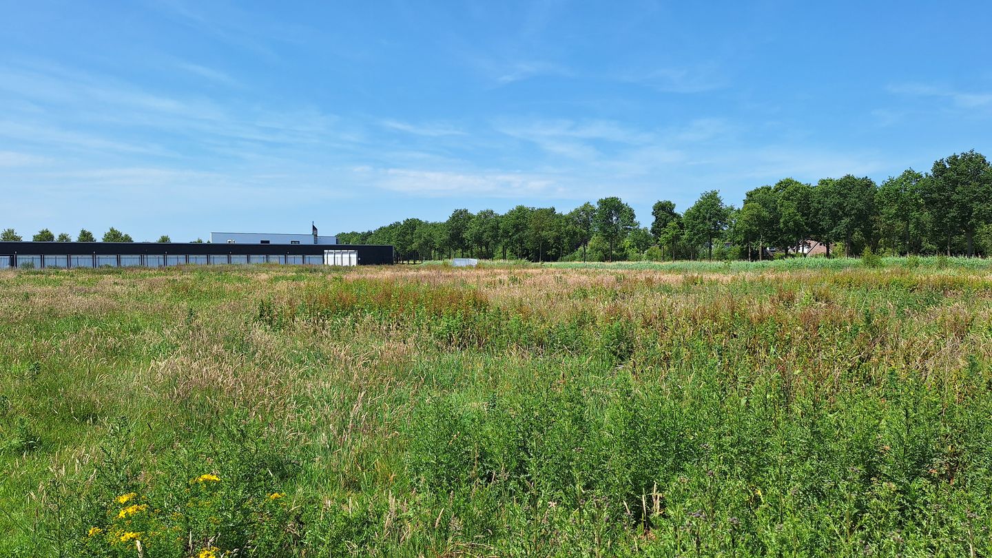 Bekijk foto 1 van Tinnegieter